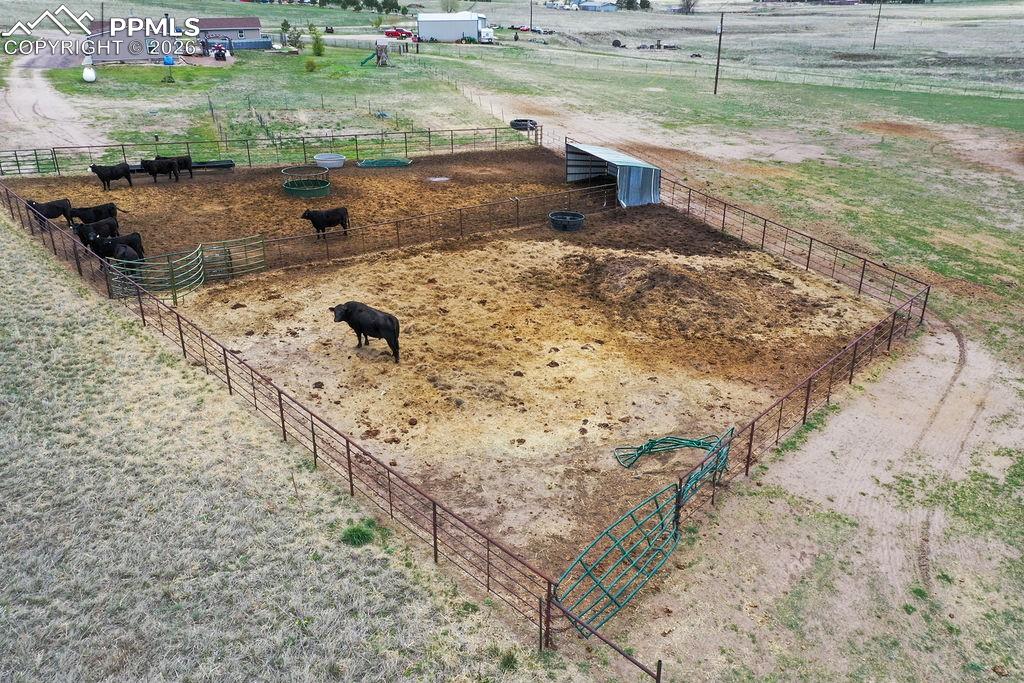 Image 36 of 39: Other