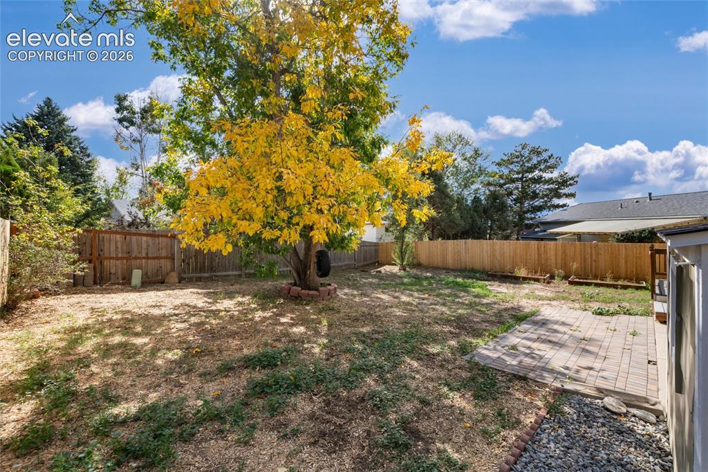 Image 39 of 47: Expansive backyard featuring a mature tree with vibrant foliage, a privacy