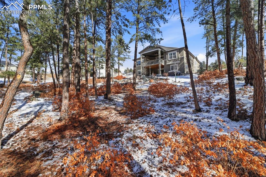 Image 38 of 47: Other