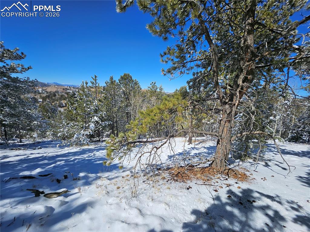 Image 11 of 23: Yard