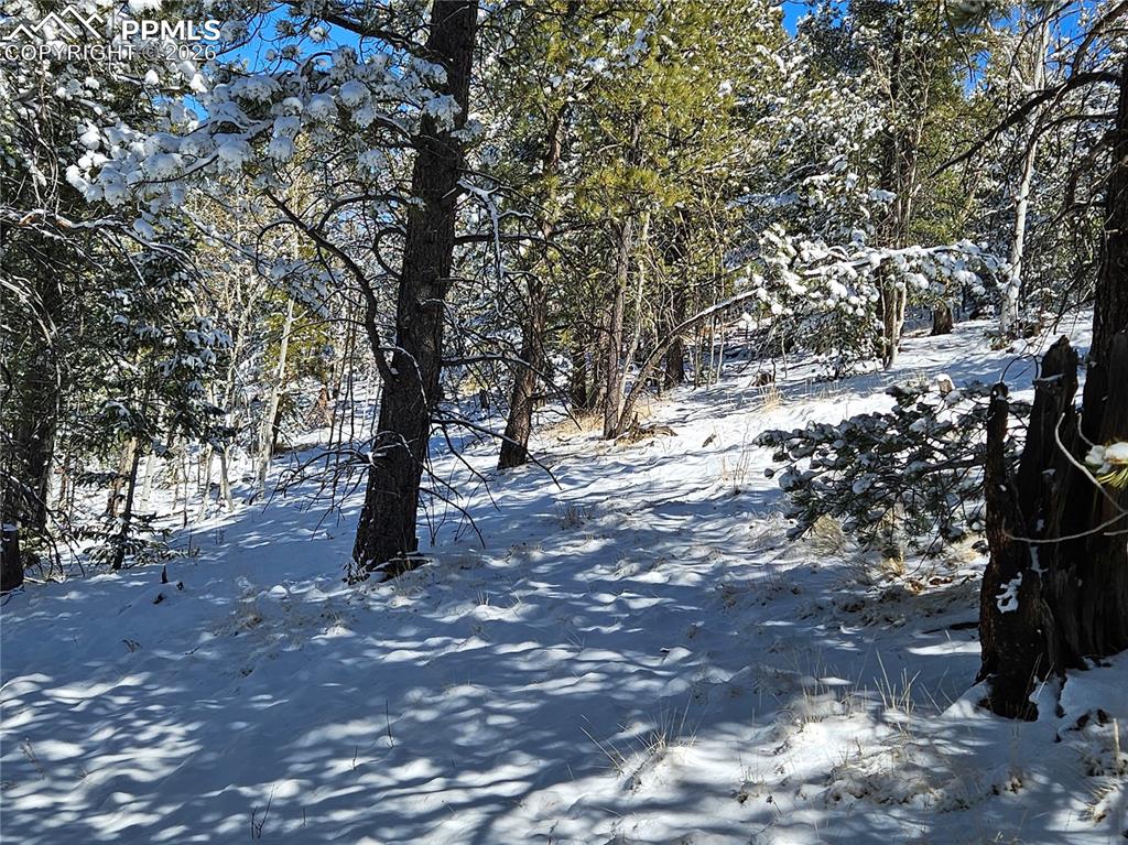 Image 12 of 23: Other