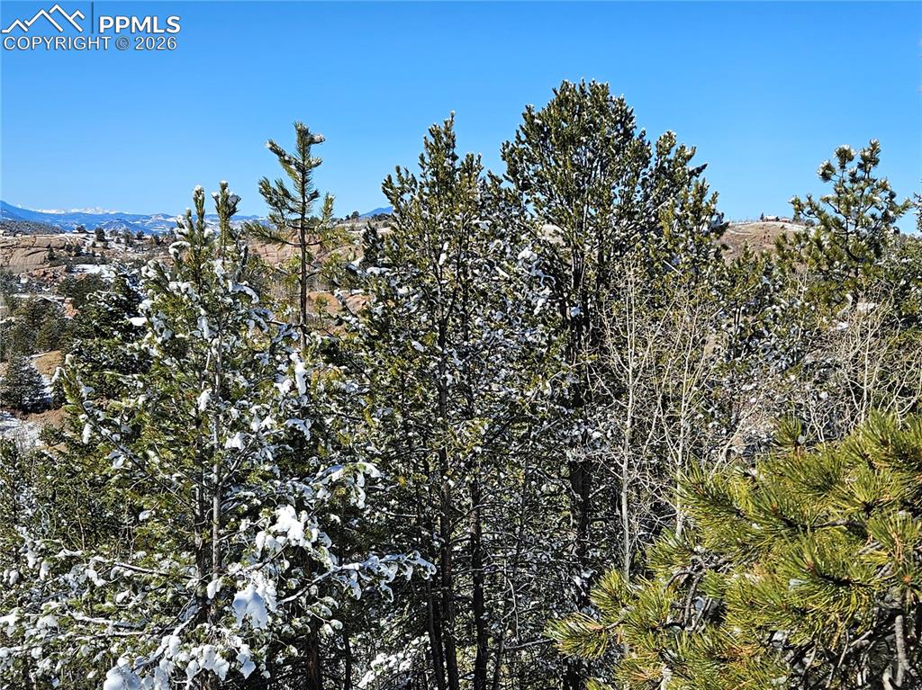 Image 14 of 23: Other