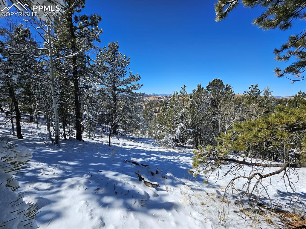 Image 16 of 23: Yard