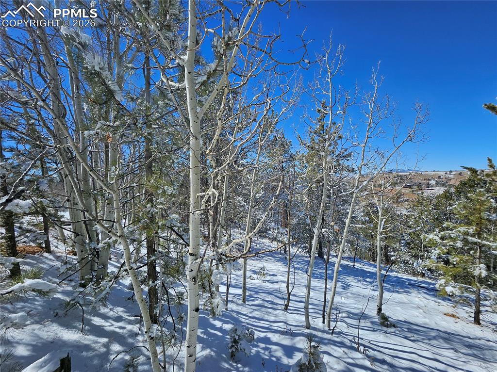 Image 17 of 23: Yard