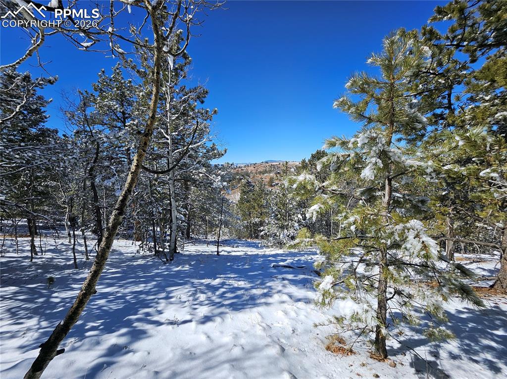 Image 18 of 23: Yard