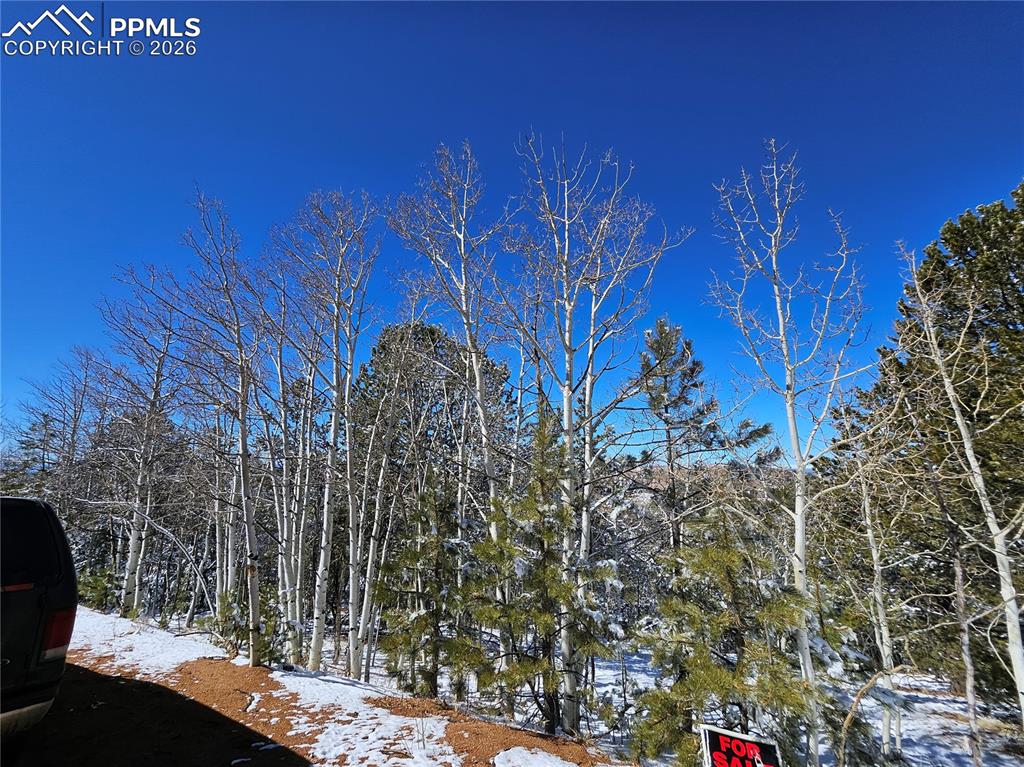 Image 2 of 23: Other