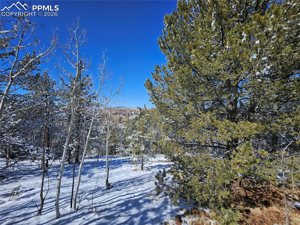 Image 20 of 23: Yard