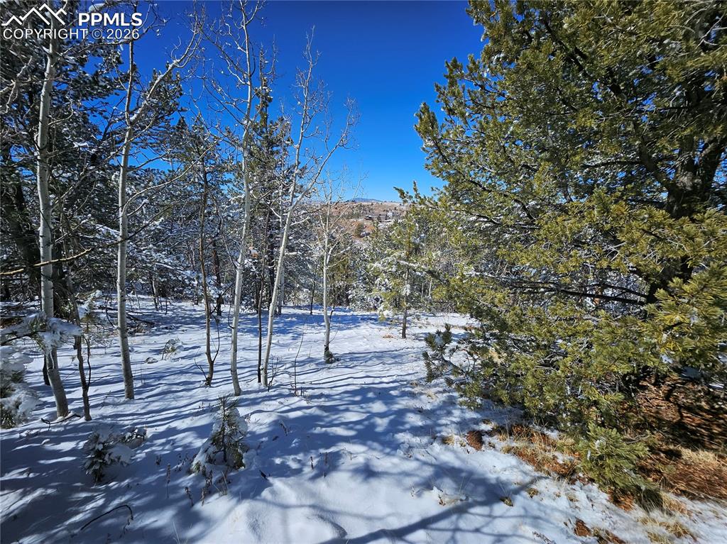 Image 21 of 23: Yard