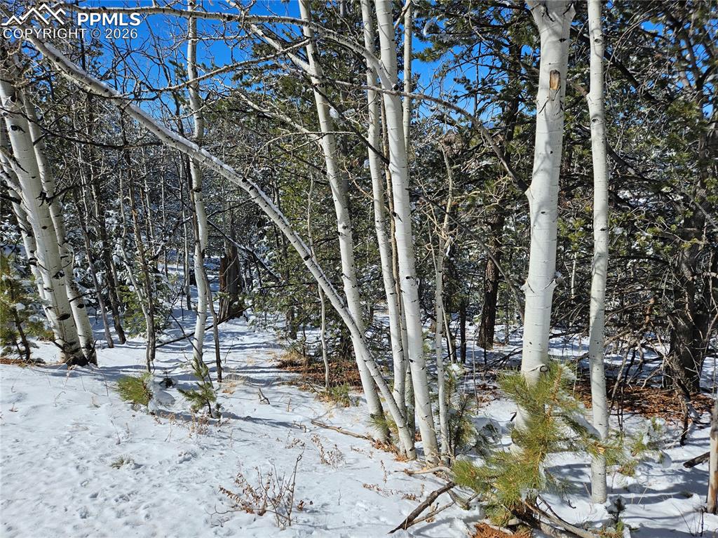 Image 23 of 23: Other