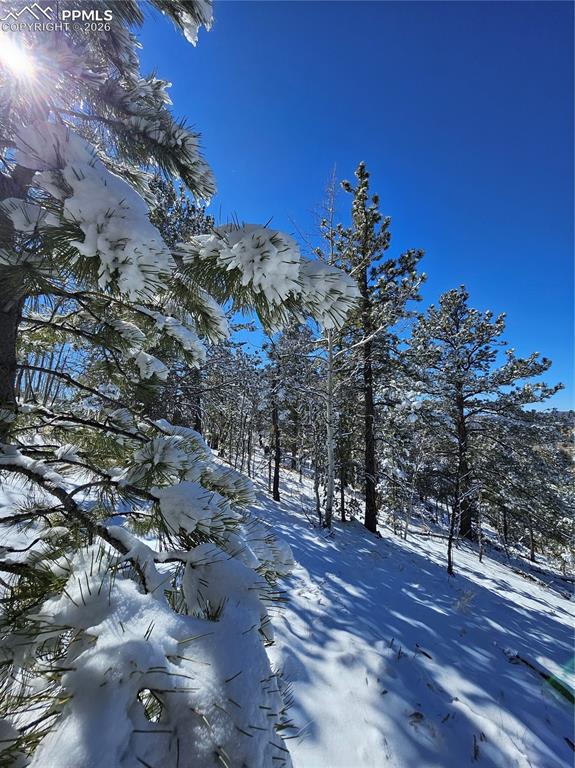 Image 5 of 23: Other