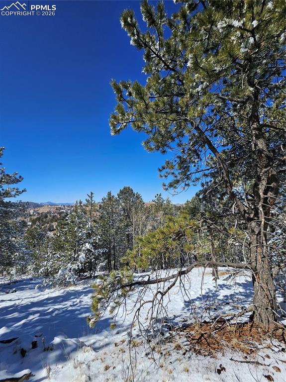 Image 9 of 23: Other