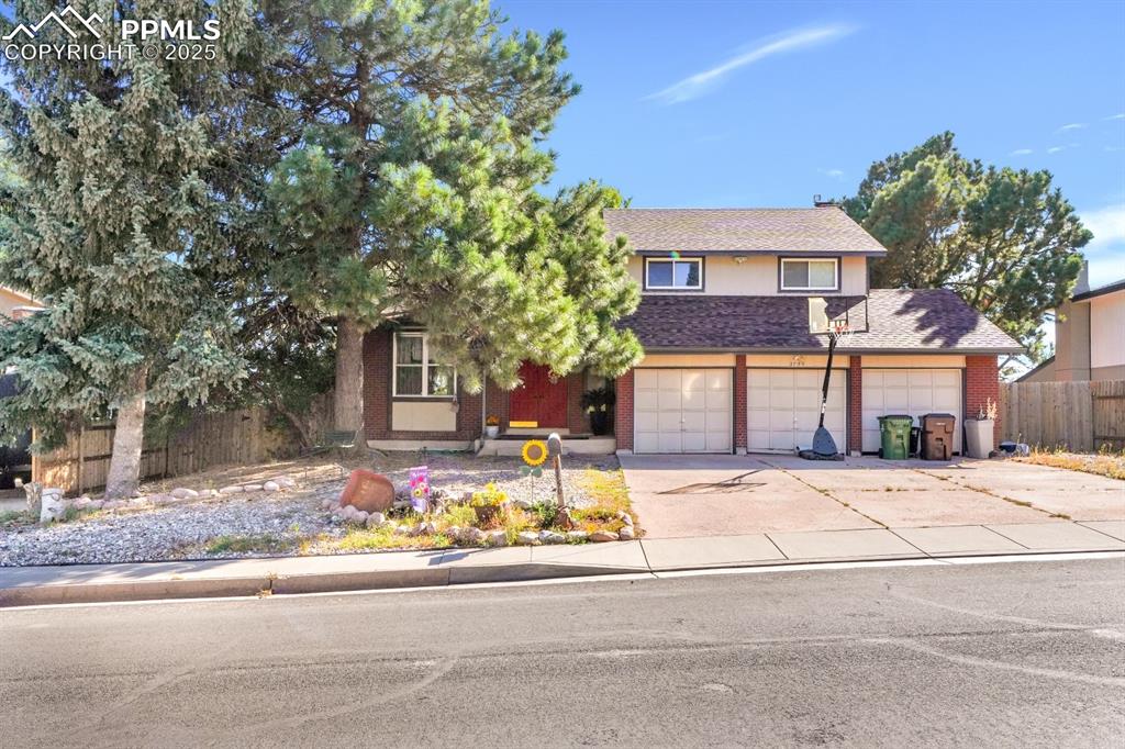 Image 6 of 32: Mature trees 