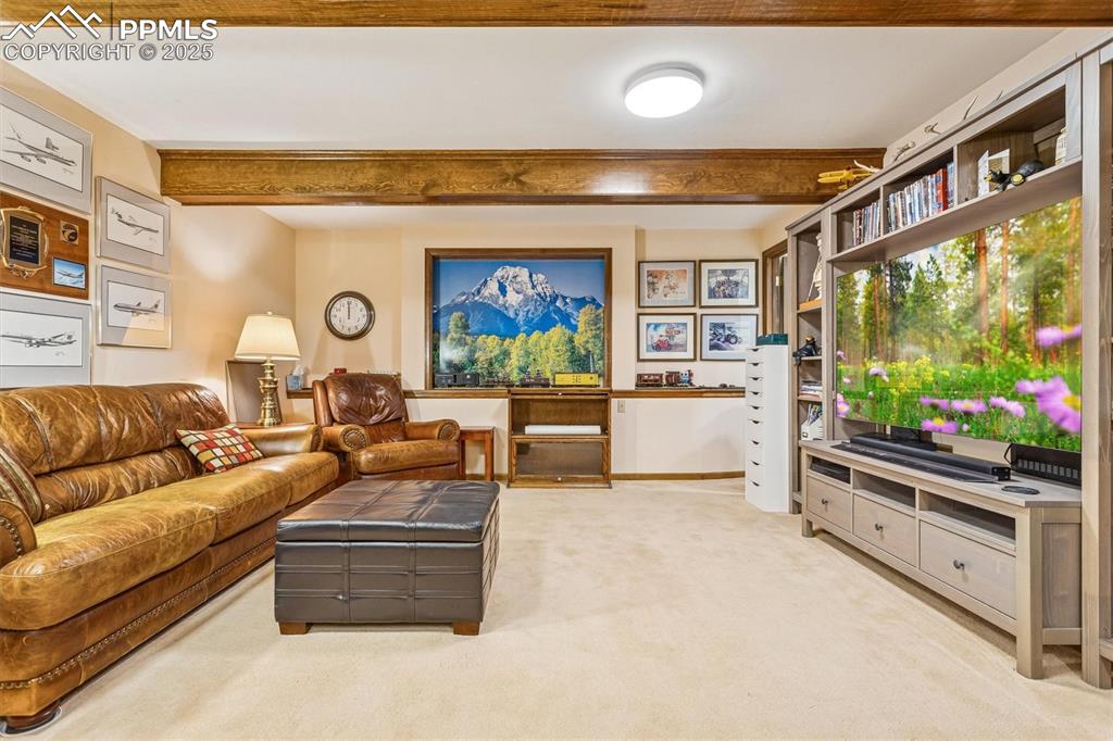 Image 35 of 49: Basement