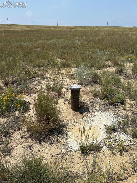 Image 13 of 13: Other