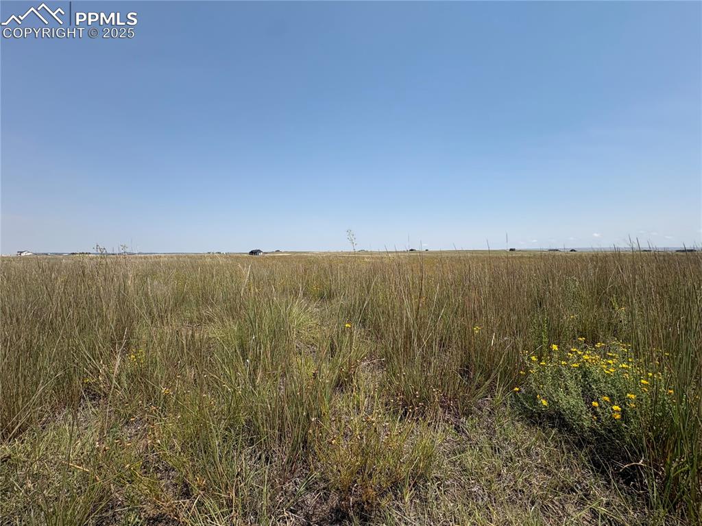 Image 4 of 13: Other