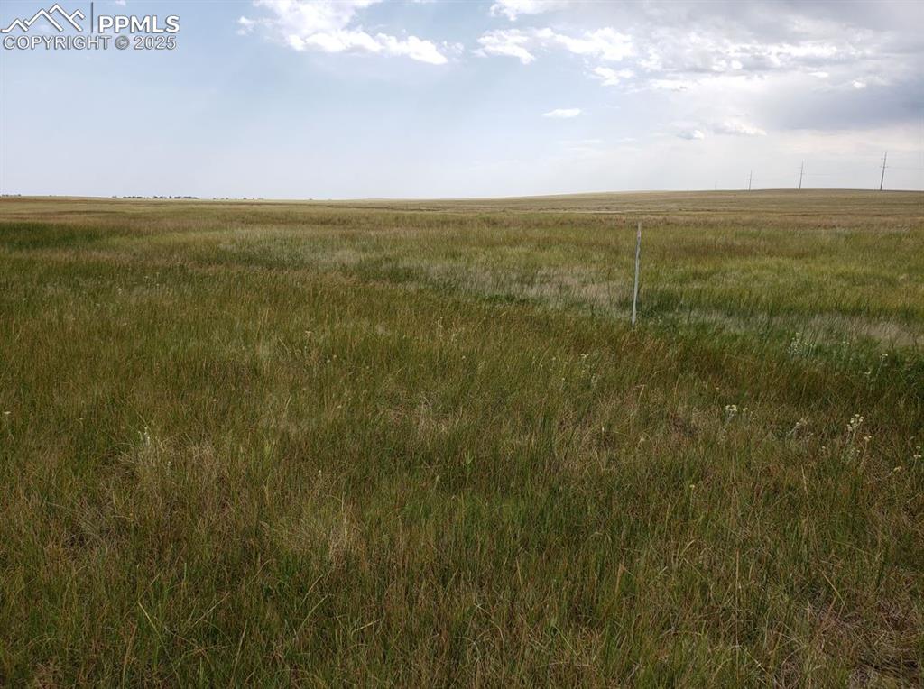 Image 8 of 13: Other