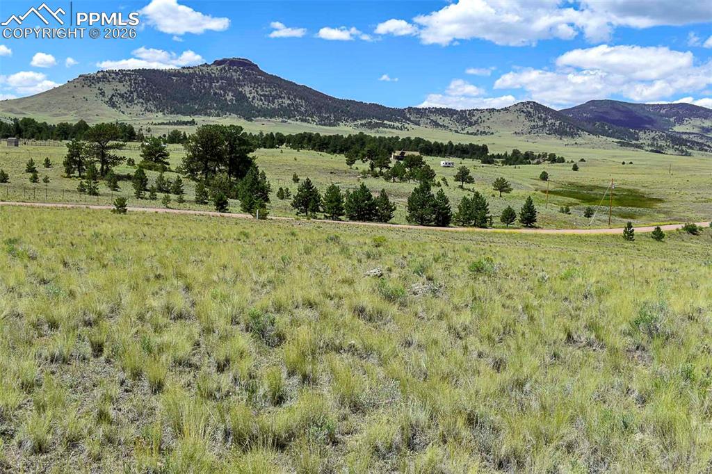 Image 10 of 15: No Description Available