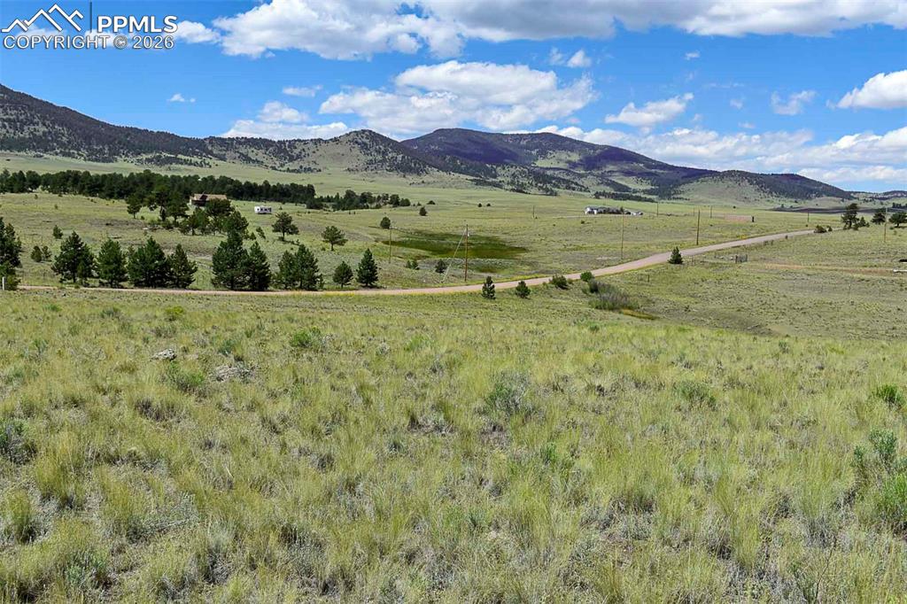 Image 11 of 15: No Description Available