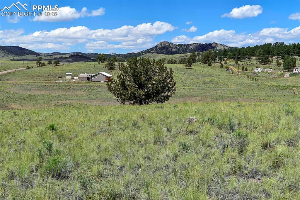 Image 12 of 15: No Description Available