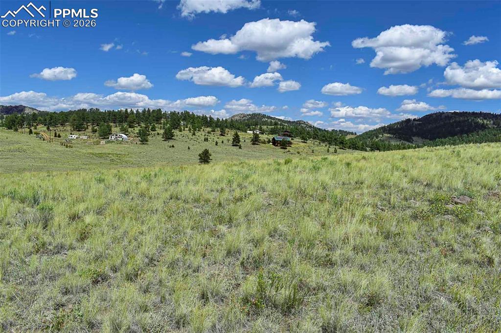 Image 13 of 15: No Description Available