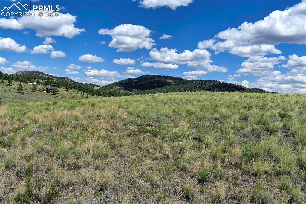 Image 14 of 15: No Description Available