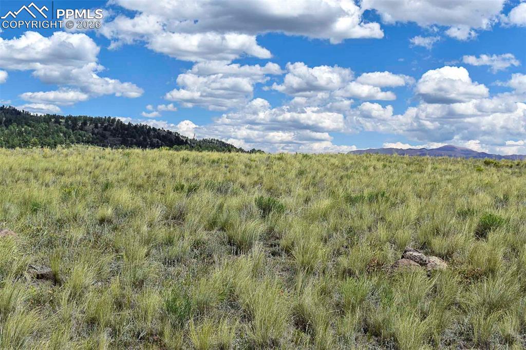 Image 15 of 15: No Description Available