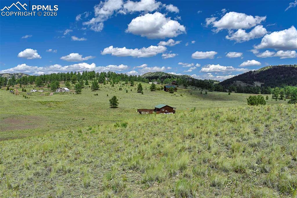 Image 4 of 15: No Description Available