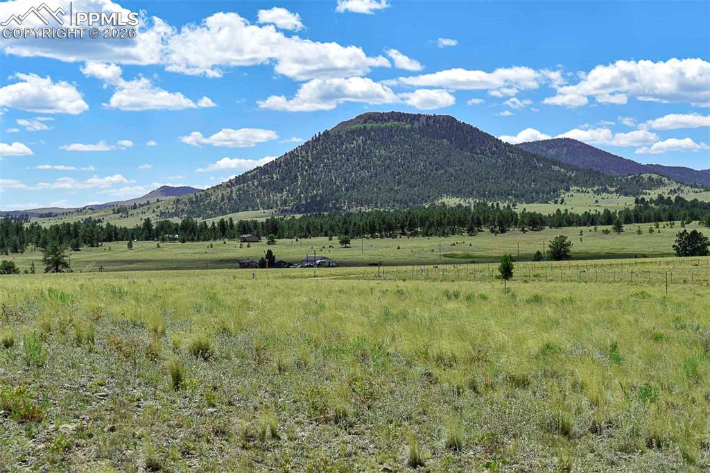 Image 7 of 15: No Description Available