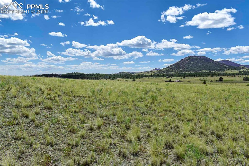 Image 8 of 15: No Description Available