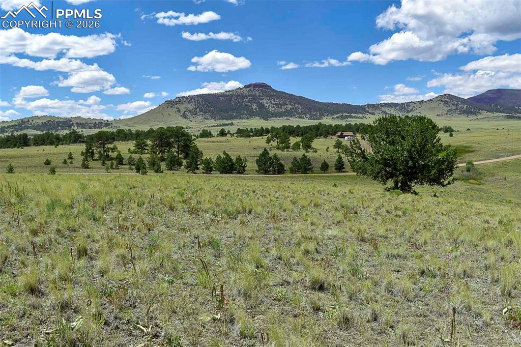 Image 9 of 15: No Description Available