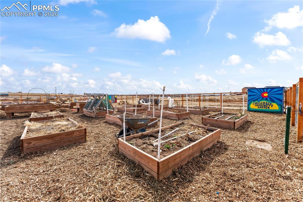 Image 38 of 41: Community Garden