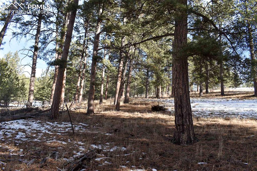 Image 10 of 28: No Description Available