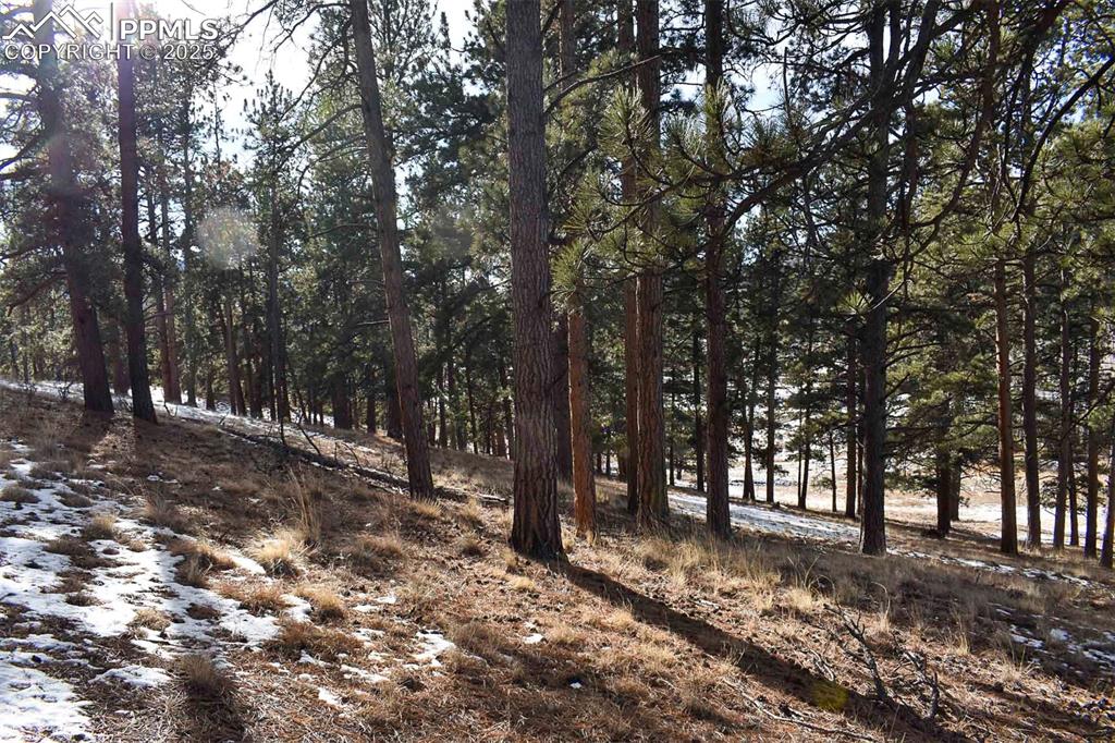 Image 16 of 28: No Description Available