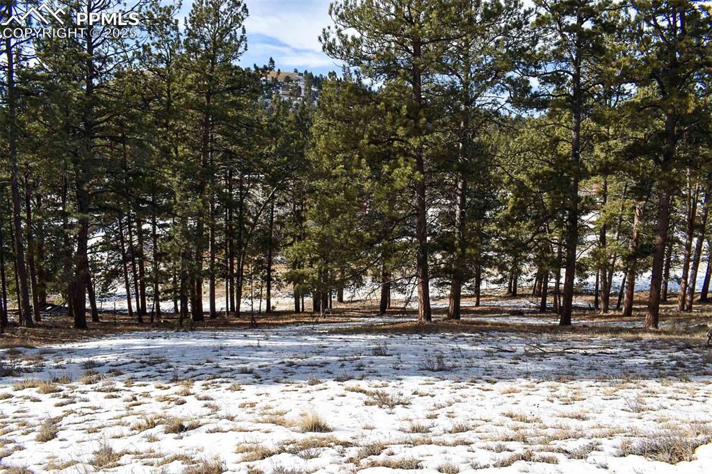 Image 20 of 28: No Description Available