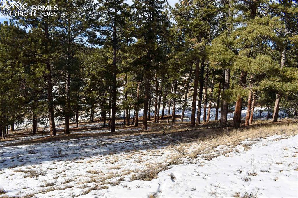 Image 21 of 28: No Description Available