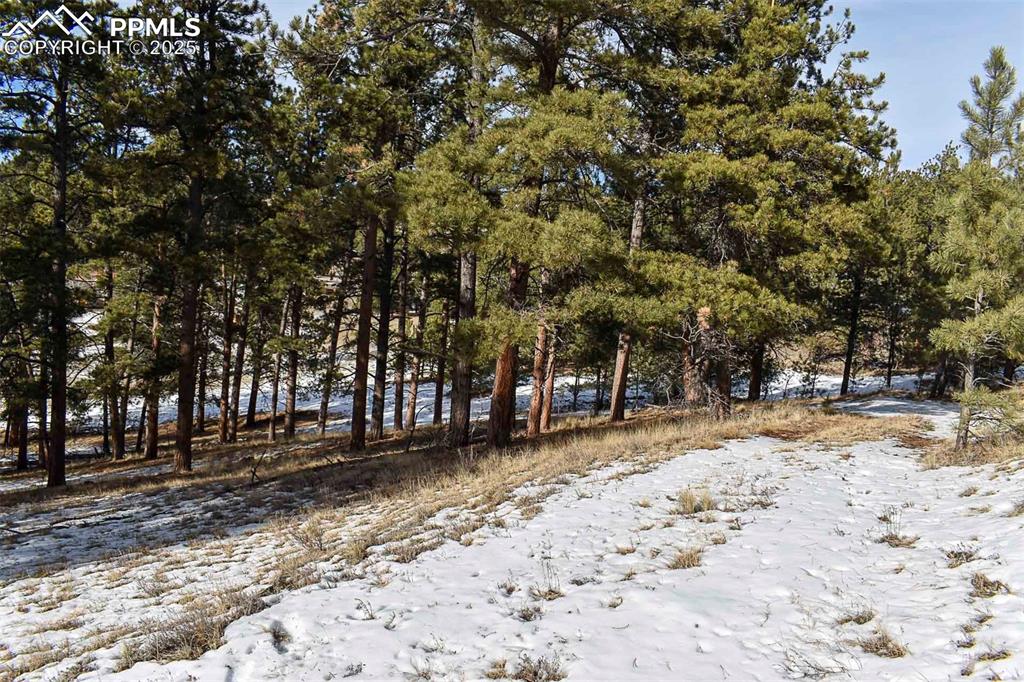 Image 22 of 28: No Description Available