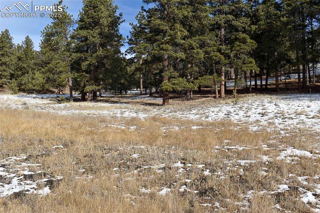 Image 28 of 28: No Description Available