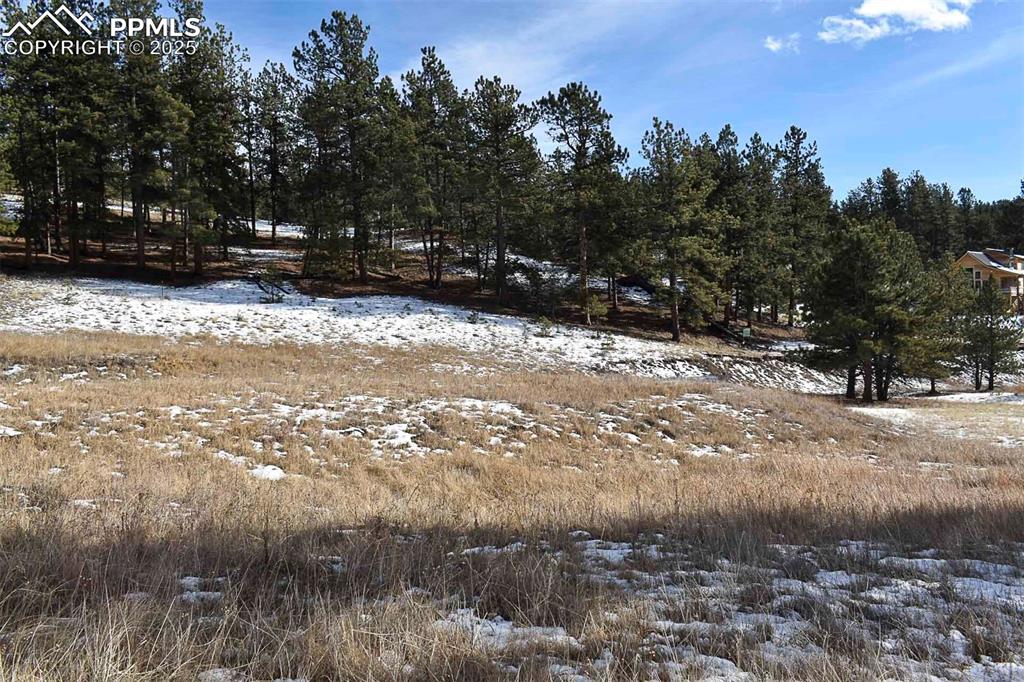 Image 7 of 28: No Description Available