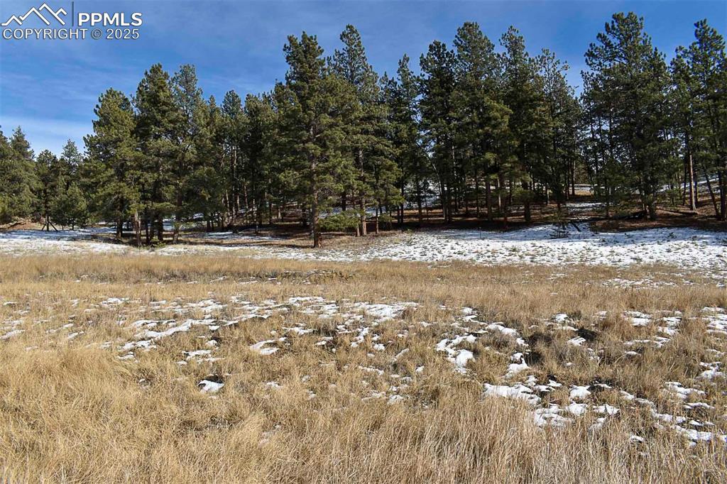 Image 8 of 28: No Description Available