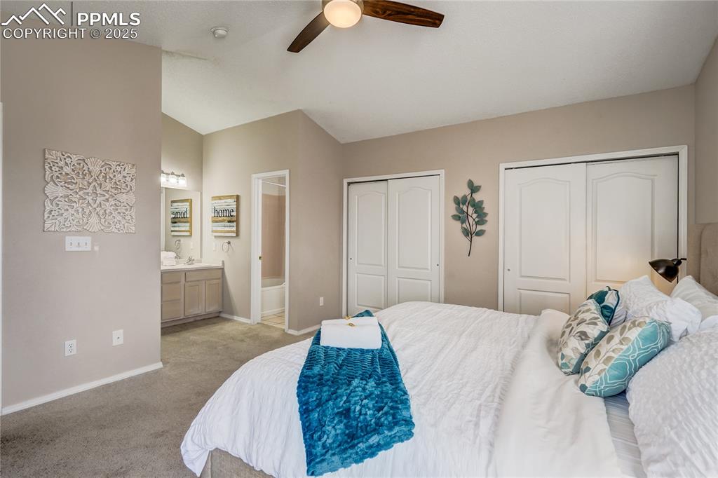 Image 14 of 35: Primary bedroom featuring ensuite bathroom, multiple closets, carpet, vault