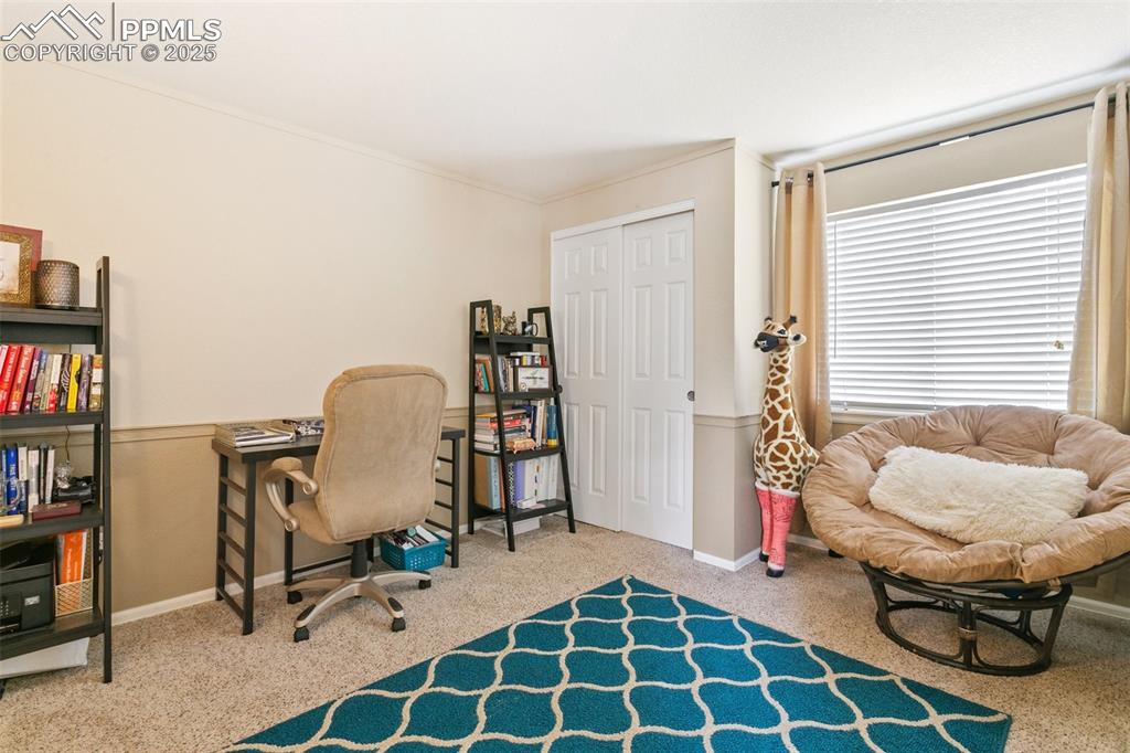 Image 33 of 46: Office with carpet floors