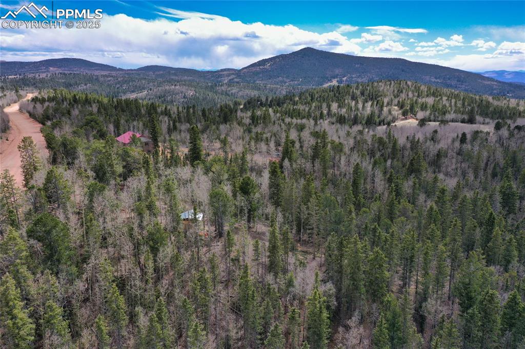 Image 41 of 45: View