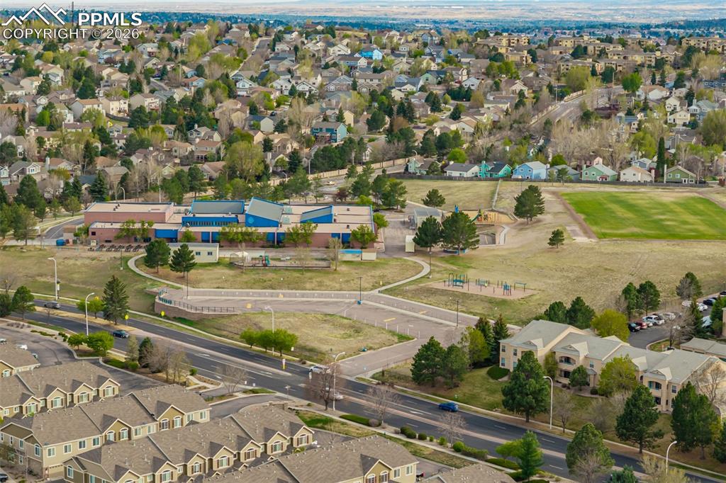 Image 46 of 49: This bird