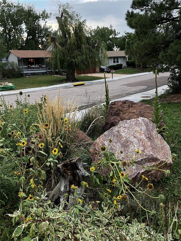 Image 11 of 11: Yard