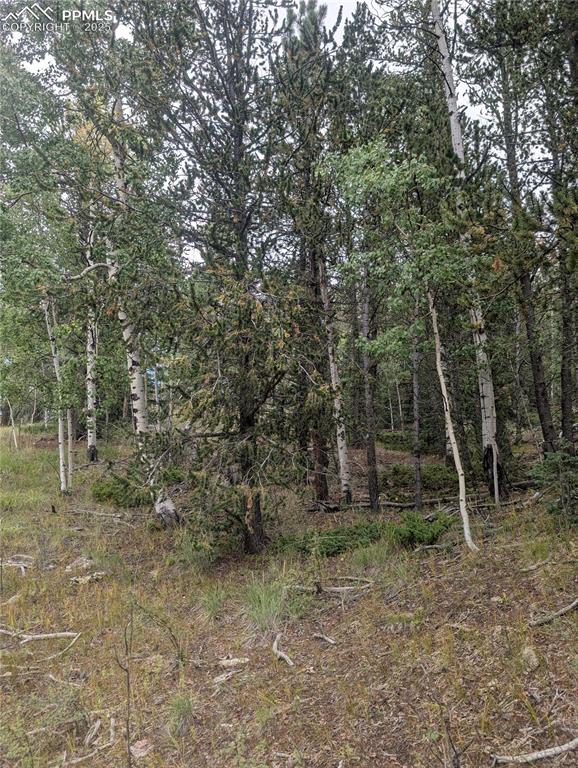 Image 10 of 31: Other