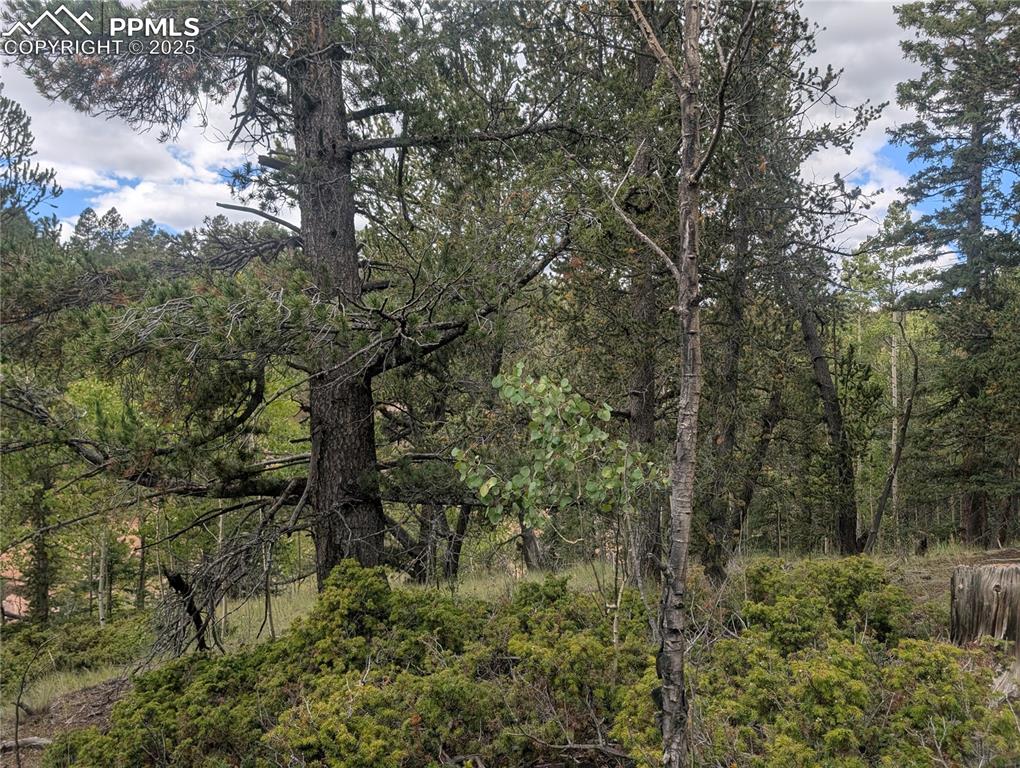 Image 18 of 31: Other