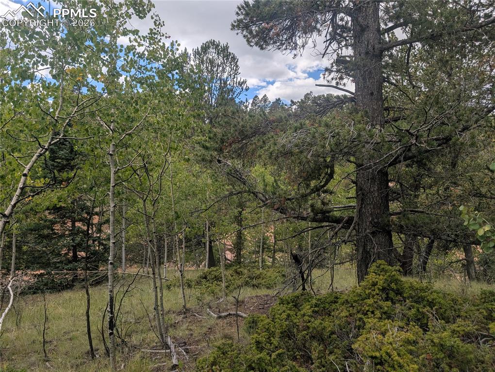 Image 19 of 31: Other