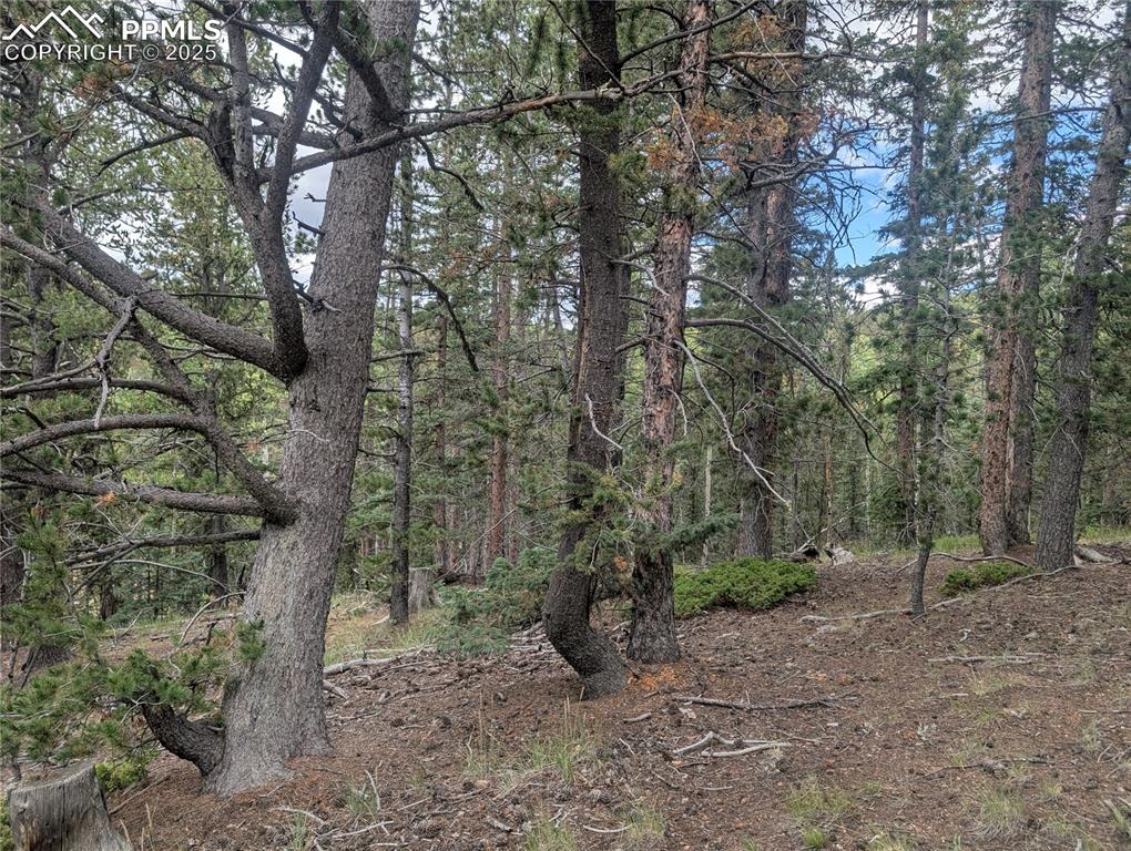 Image 23 of 31: Other