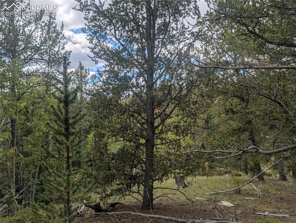 Image 24 of 31: Other