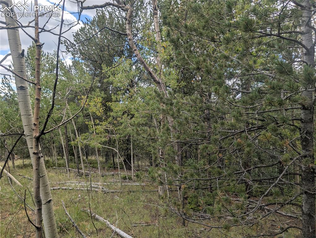 Image 26 of 31: Other